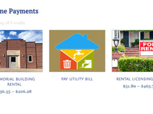 Example of items on an Online Payments page