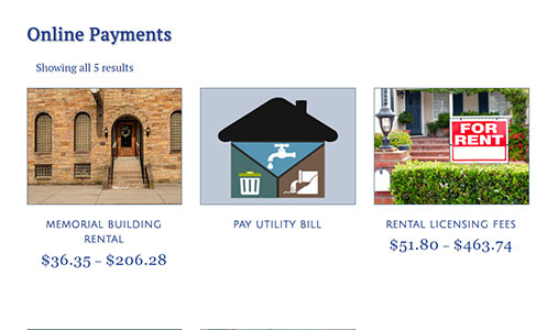 illustration of a product index for choosing to pay online